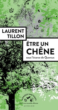 Couverture du livre Être un chêne, sous l'écorce de Quercus, par Laurent Tillon