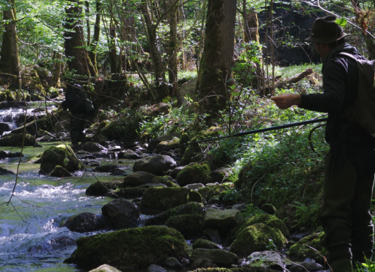 alt="" / aria-hidden="true"