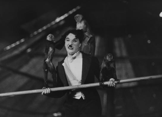 charlot avec des singes sur la tête