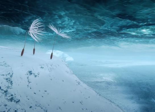 trois graines de pissenlit qui errent dans l'espace