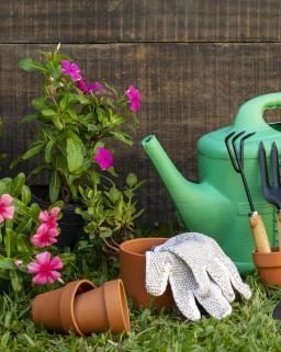 pot de plantes et arrosoir